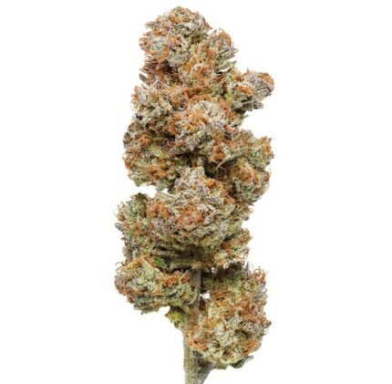 Flow Gardens USA Grown CBD Flower: Sour Tsnunami