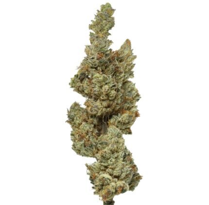 Flow Gardens USA Grown Wizard of Oz CBD Flower